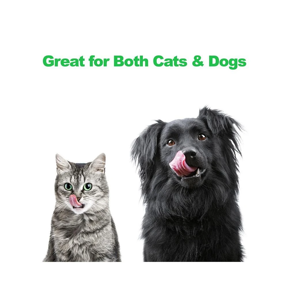 Stainless Steel Raised Food and Water Bowls - Set of 2 商品