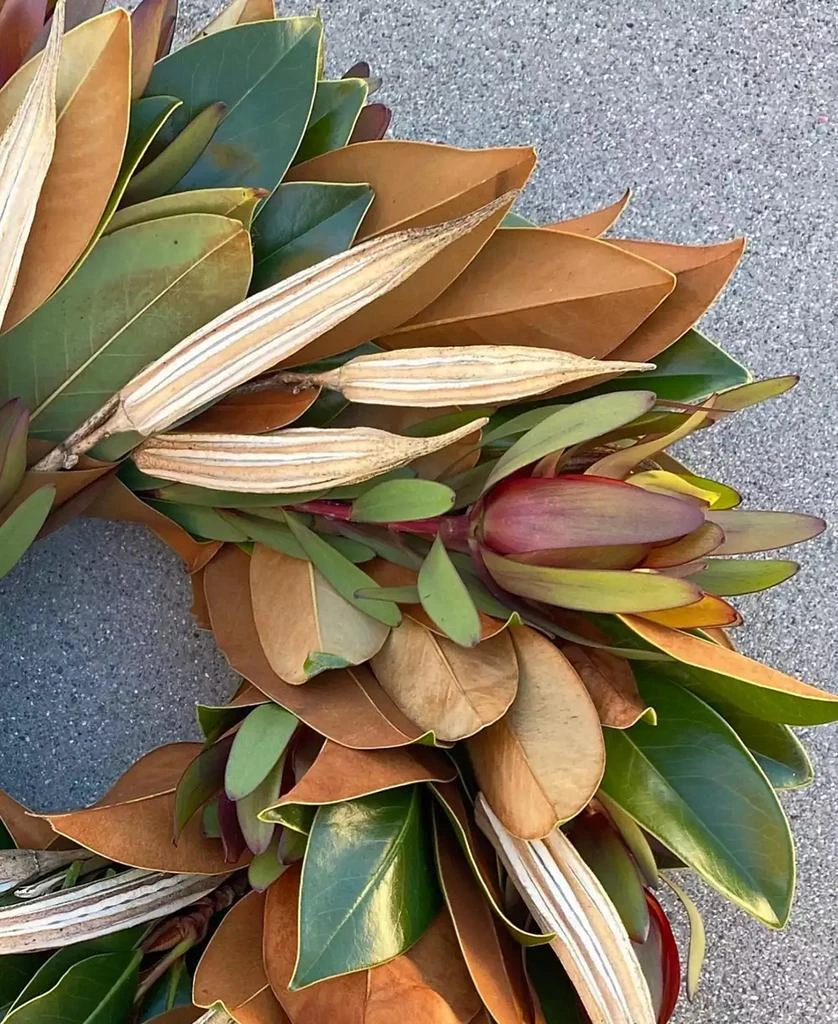 商品GreenishBlu|Fresh Real Magnolia, Safari and Dried Okra Wreath,价格¥619,第3张图片详细描述