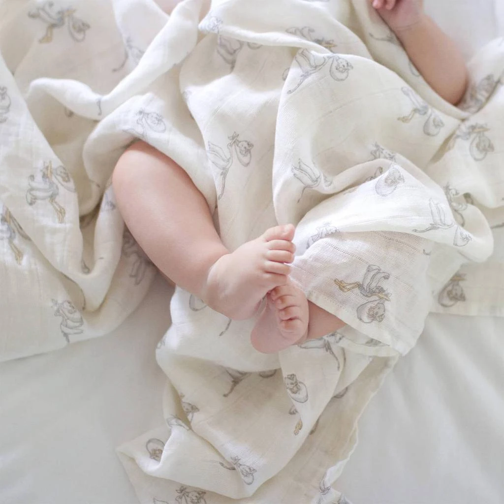 aden + anais Classic Swaddles - My Darling Dumbo (3 Pack) 商品