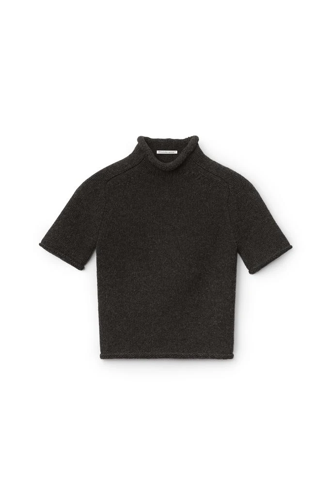 商品Alexander Wang|knit tee in boiled wool,价格¥1613,第1张图片