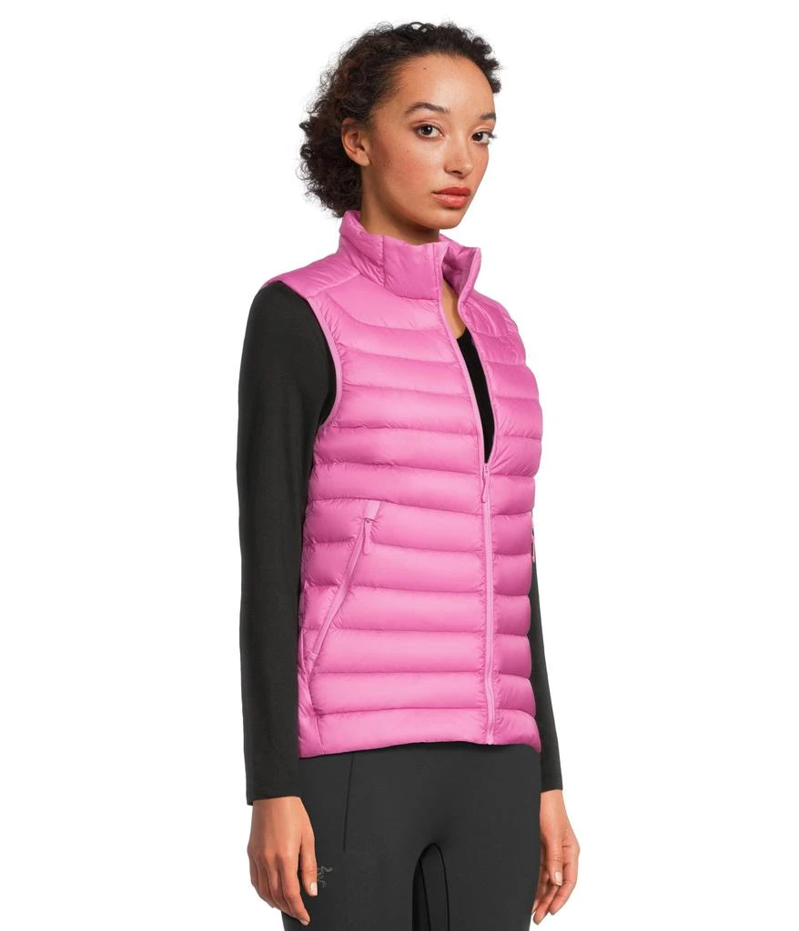 商品Arc'teryx|Cerium Vest,价格¥2049,第2张图片详细描述