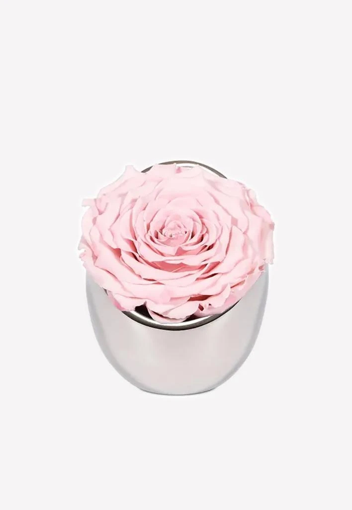 商品OnlyRoses|Infinite Rose Luna,价格¥1449,第1张图片