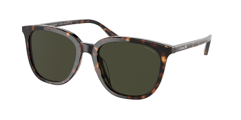 Dark Green Square Mens Sunglasses HC8338U 512082 55商品第1张图片规格展示