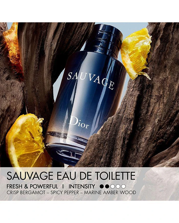 商品Dior|Sauvage Eau de Toilette,价格¥522,第4张图片详细描述