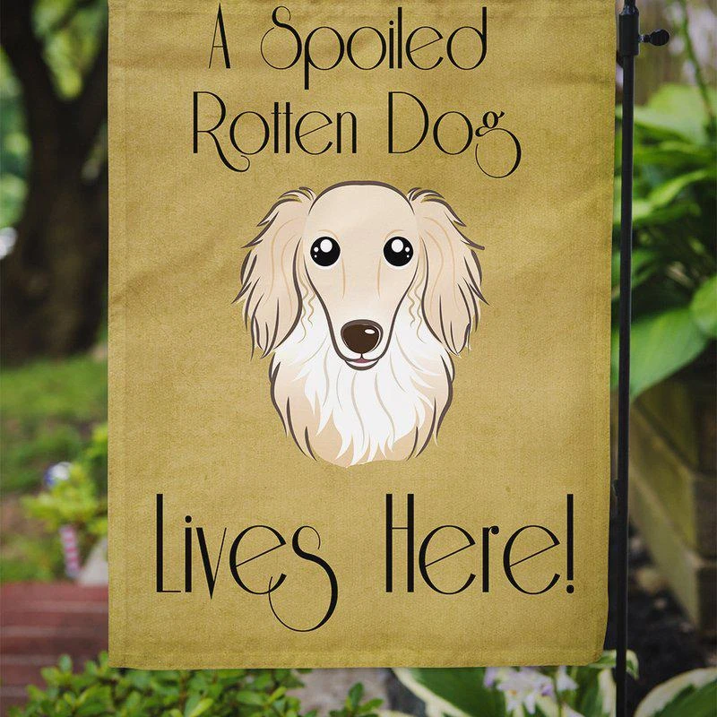 商品Caroline's Treasures|Longhair Creme Dachshund Spoiled Dog Lives Here Garden Flag 2-Sided 2-Ply,价格¥138,第2张图片详细描述