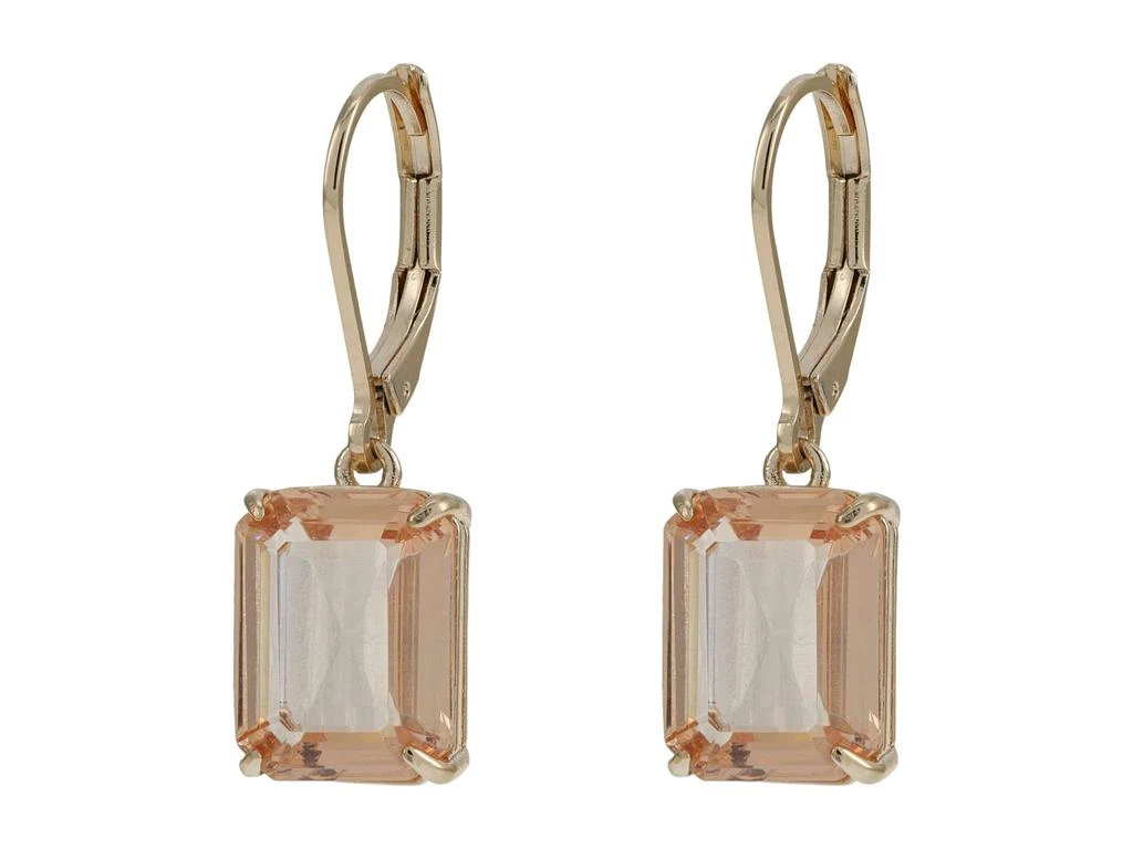 商品Ralph Lauren|Small Stone Drop Earrings,价格¥261,第1张图片