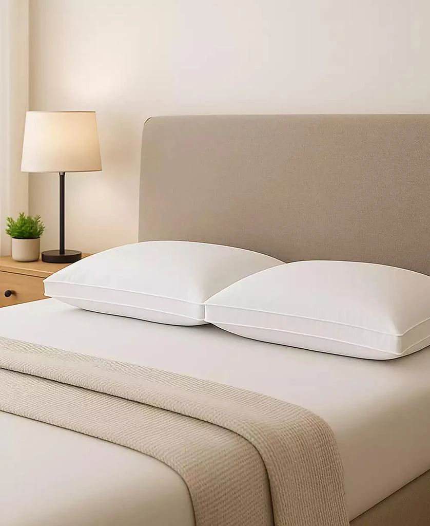 Gusseted Firm Plush Down Alternative Side/Back Sleeper 2-Pack Pillow, Standard 商品