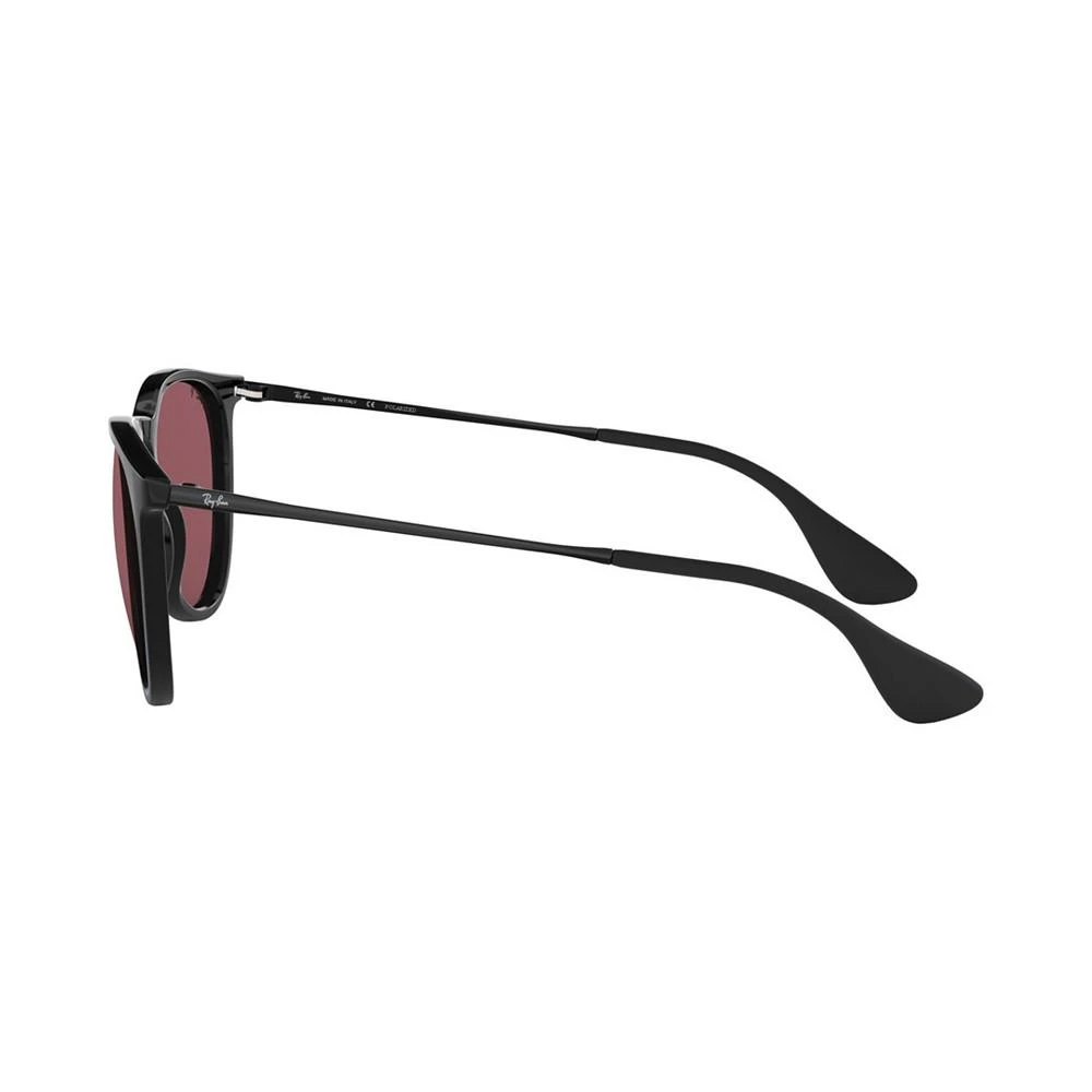 Polarized Sunglasses , RB4171 ERIKA 商品