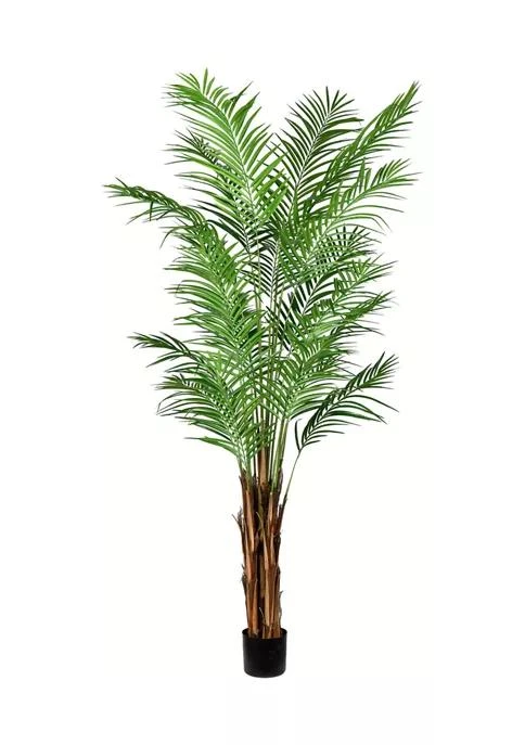 商品Vickerman|Potted Giant Areca Palm Tree,价格¥3518,第2张图片详细描述