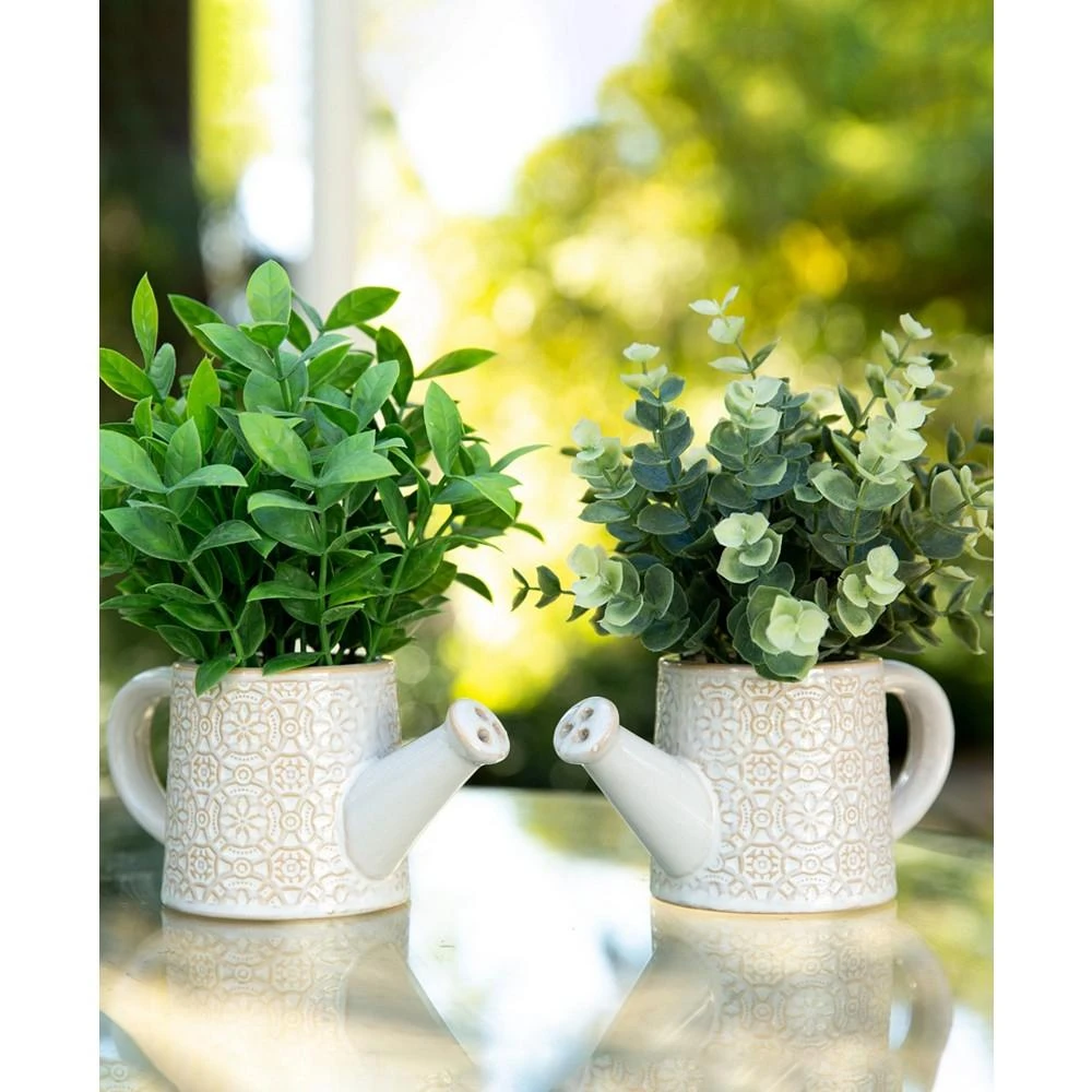 商品Flora Bunda|Eucalyptus Tea Leaf in Cathedral Watering Can Set, 2 Piece,价格¥268,第3张图片详细描述