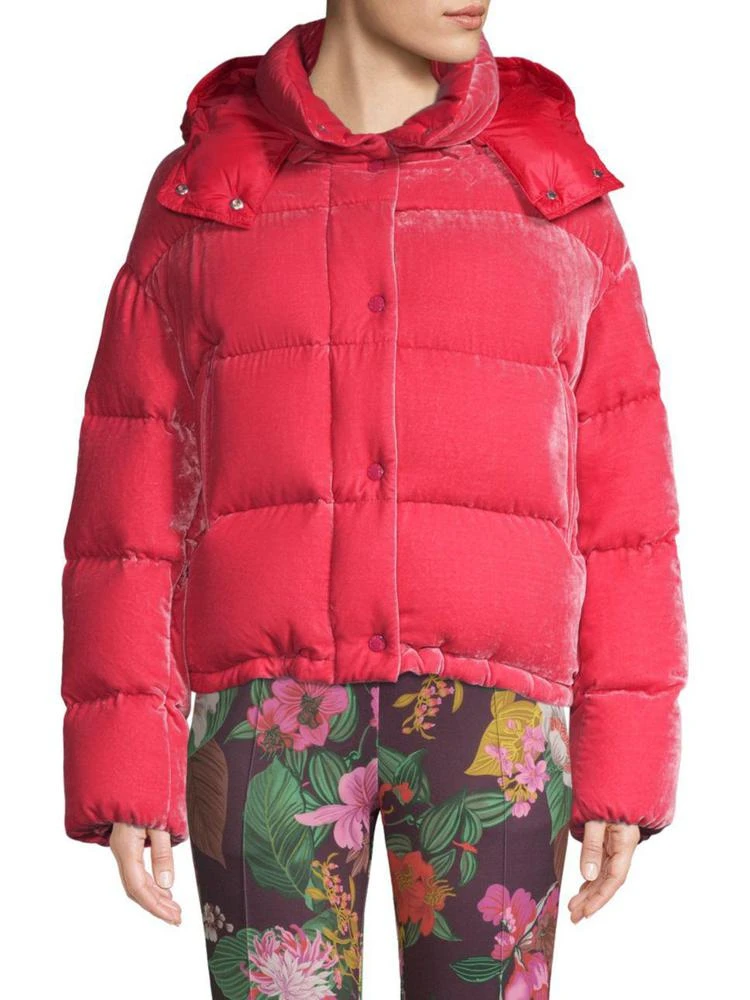 商品Moncler|Caille 天鹅绒羽绒服,价格¥4607,第1张图片