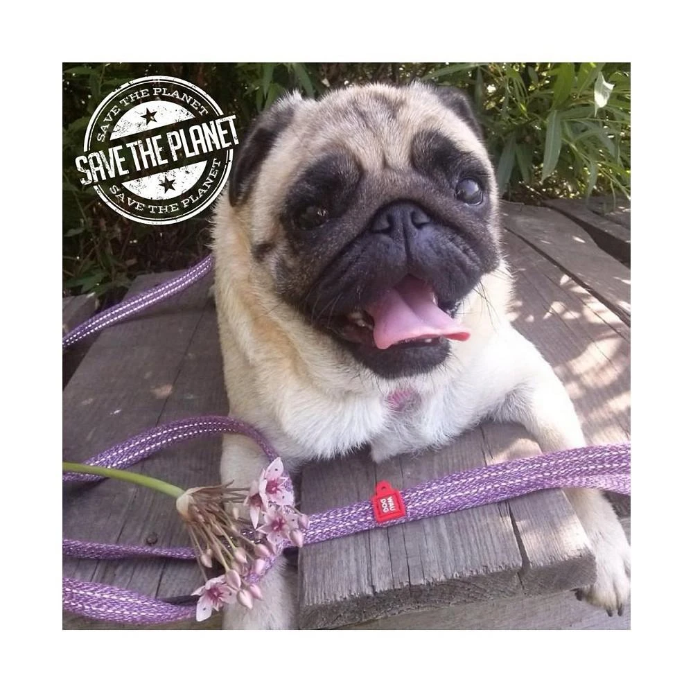 商品Waudog|Eco-Friendly Re-Cotton Leash For Dogs, reflective,价格¥164,第2张图片详细描述