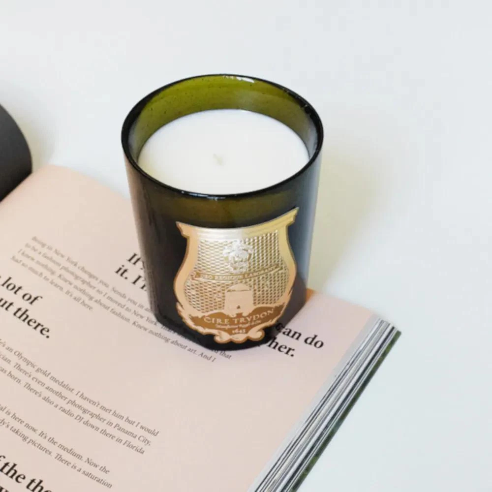 商品Cire Trudon|TRUDON Ernesto Classic Candle,价格¥907,第4张图片详细描述