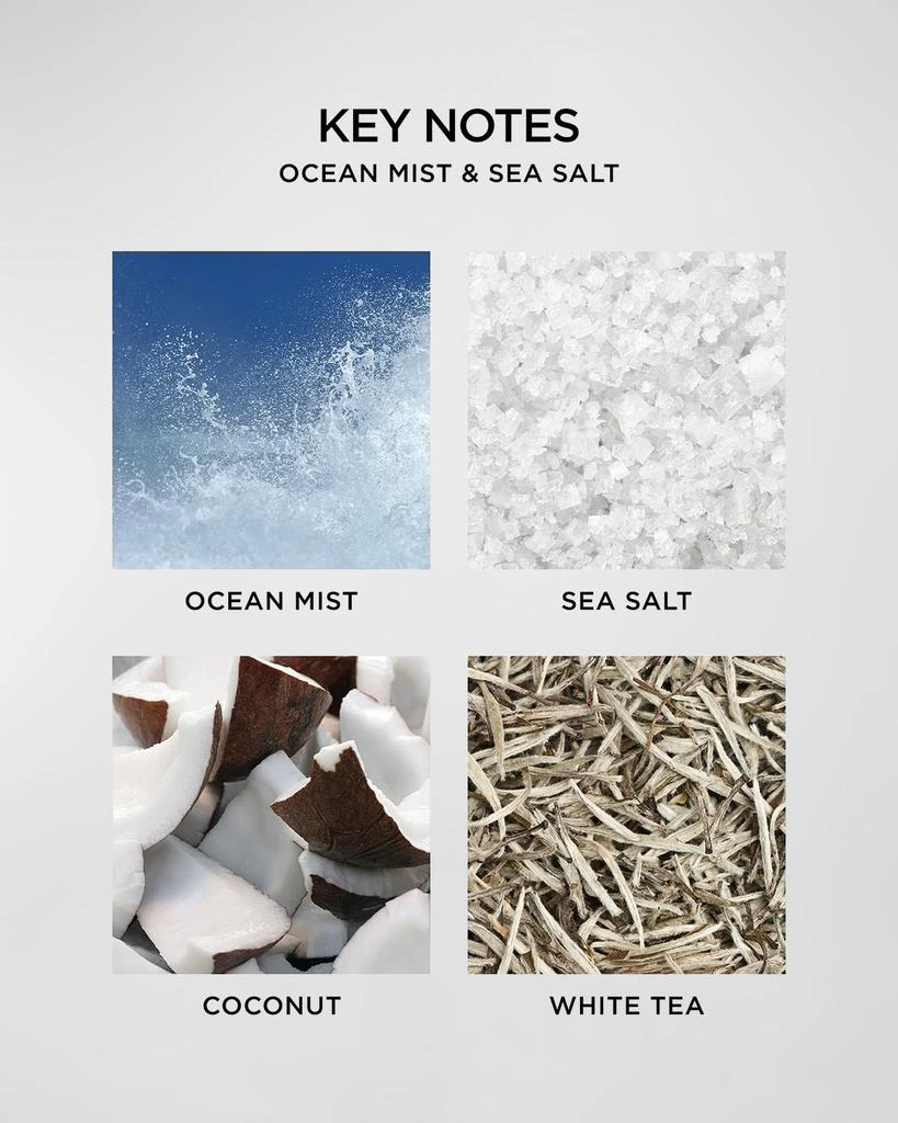商品NEST New York|Ocean Mist And Sea Salt Wall Diffuser Refill,价格¥248,第5张图片详细描述