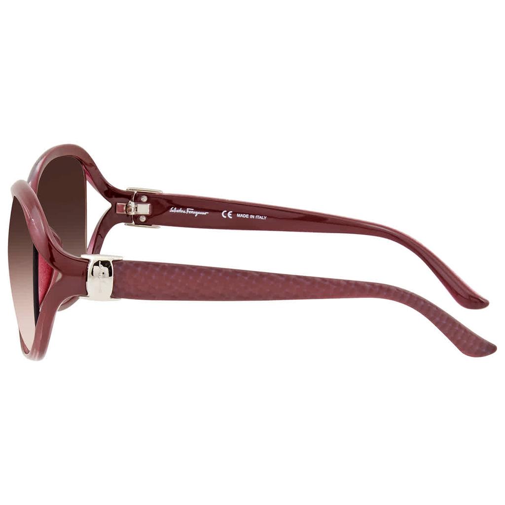 Salvatore Ferragamo Brown Oval Ladies Sunglasses SF770SA 604 61商品第3张图片规格展示