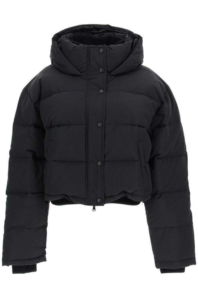 商品WARDROBE.NYC|Wardrobe.nyc cropped puffer jacket,价格¥7533,第1张图片