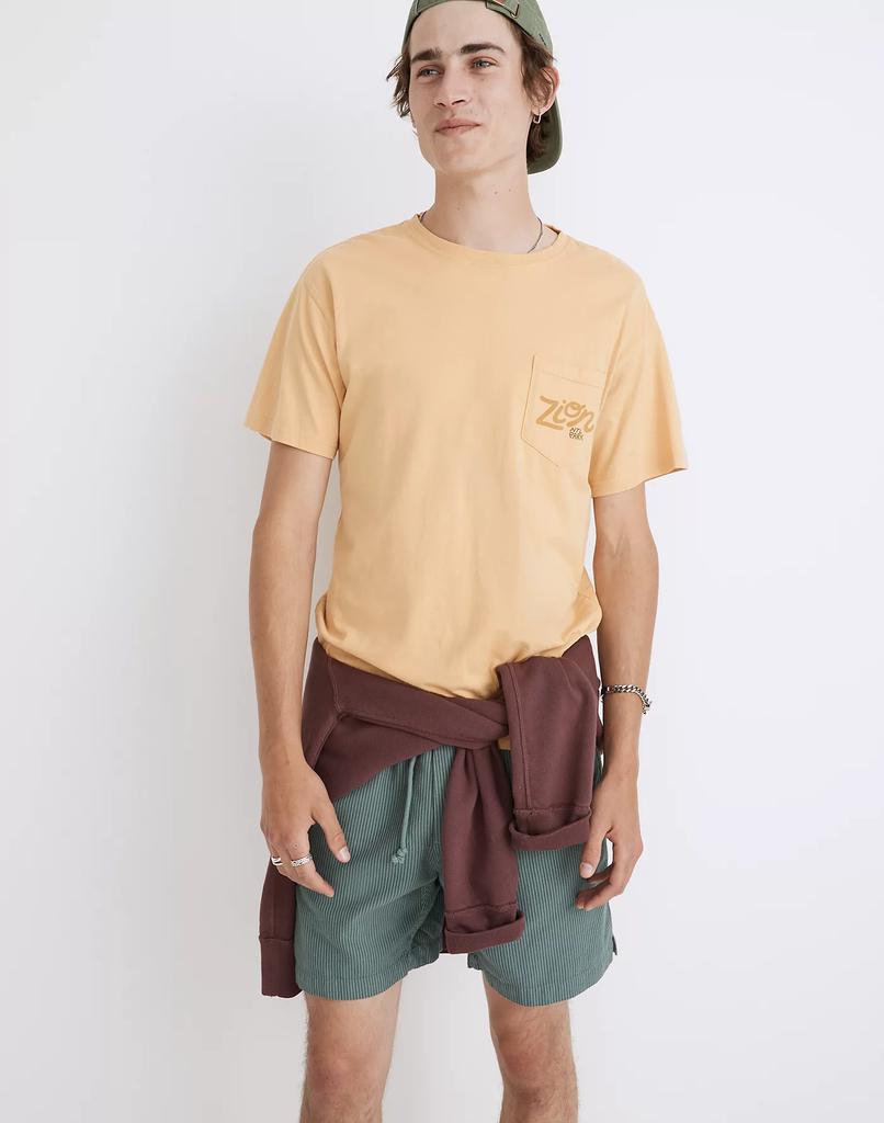 商品Madewell|Madewell x Parks Project Zion Organic Cotton Pocket Tee,价格¥215,第3张图片详细描述