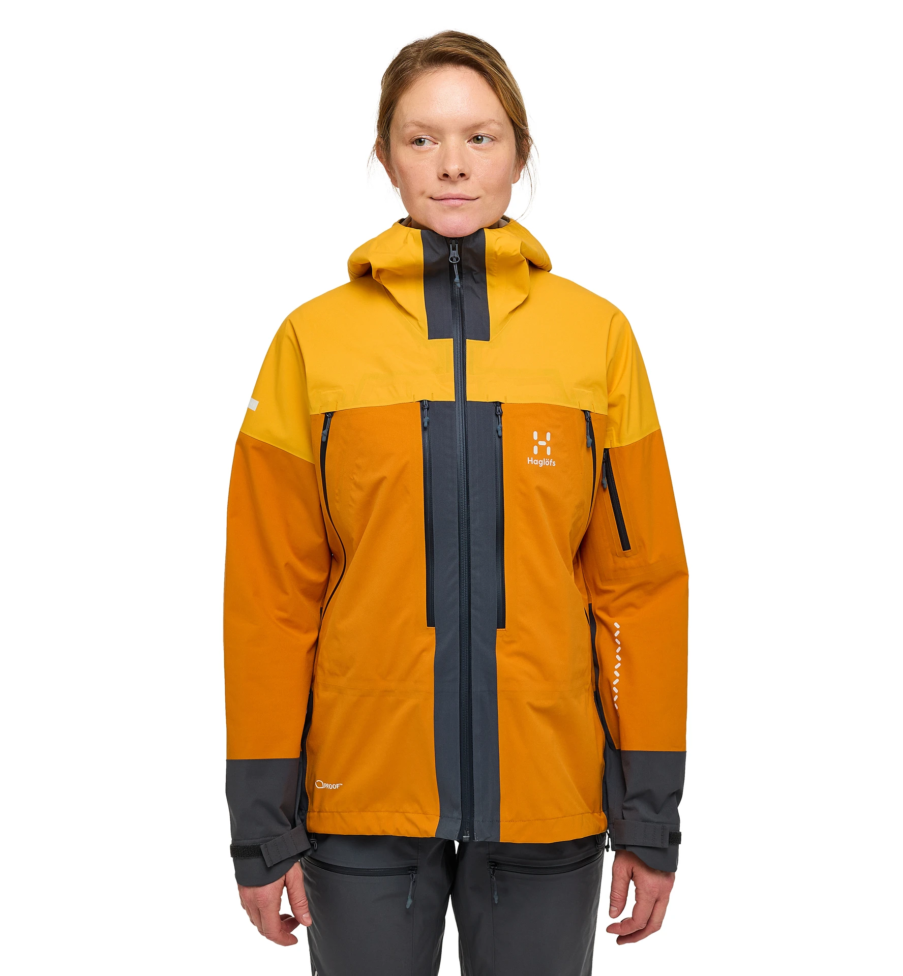 商品【商品预售7天】 Haglofs|Haglofs 7318841749990 花色,价格¥4293,第3张