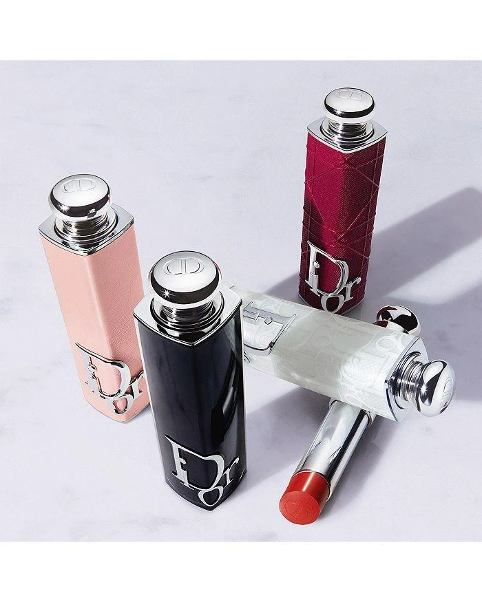 DIOR Dior Addict Refillable Couture Lipstick Case 4