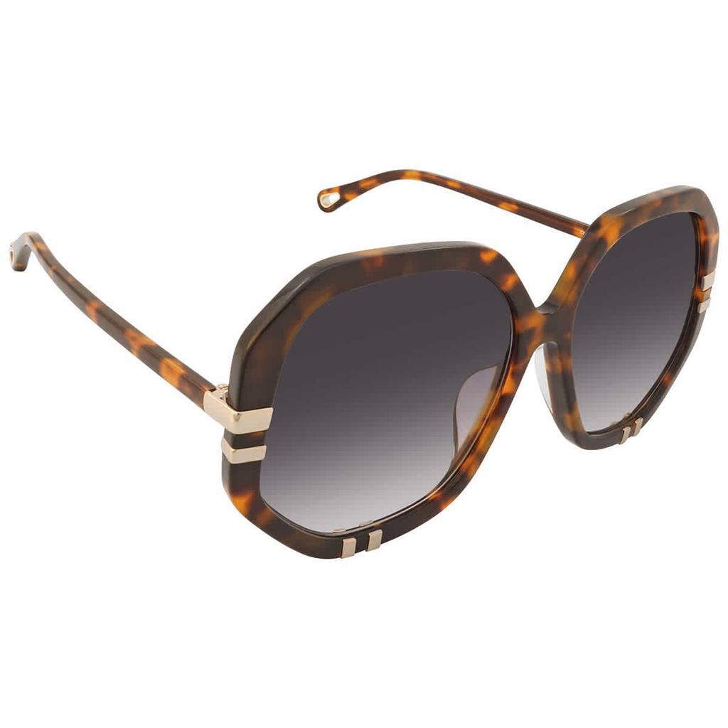 商品Chloé|Chloe Blue Geometric Ladies Sunglasses CH0105SA 004 60,价格¥1519,第1张图片