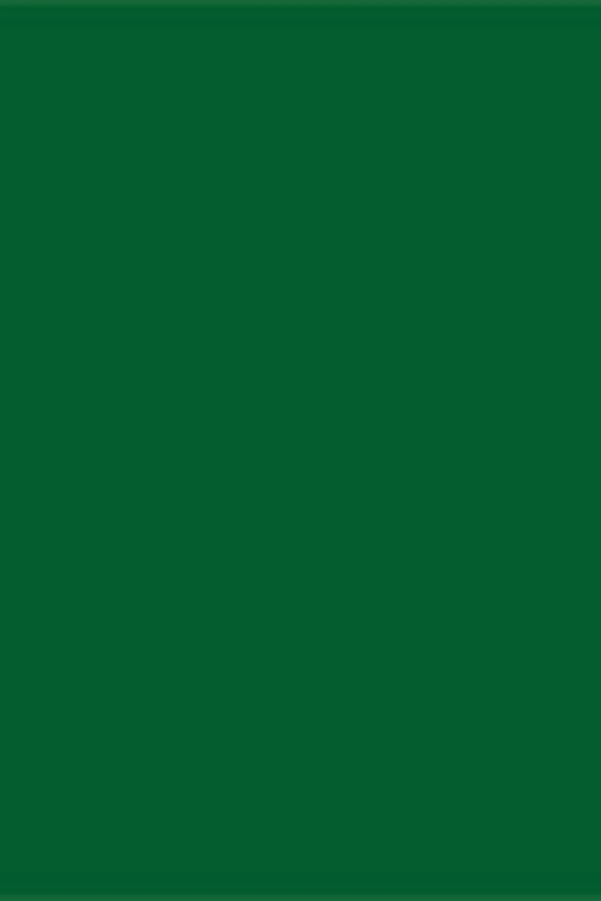 商品Moncler|Moncler 女士大衣 MC1XJW32GEE 绿色,价格¥13981,第3张图片详细描述
