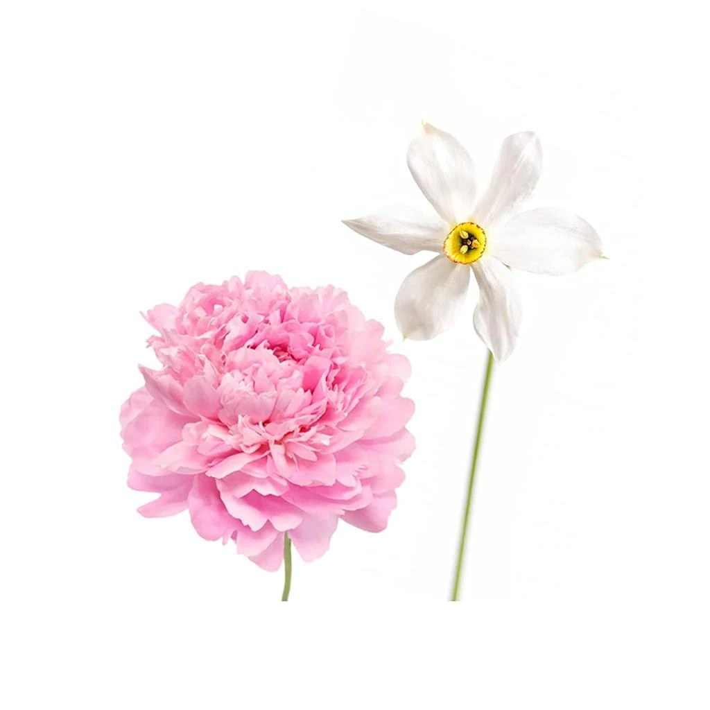 商品Derek Lam|Hi-Fi by  for Women - 5.9 oz EDP Spray,价格¥431,第3张图片详细描述