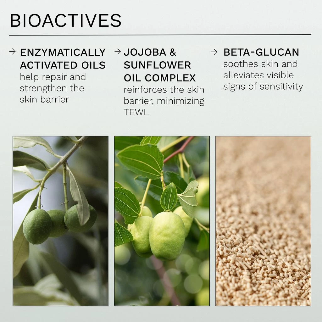 商品REN Clean Skincare|REN Clean Skincare Evercalm Overnight Recovery Balm,价格¥458,第5张图片详细描述