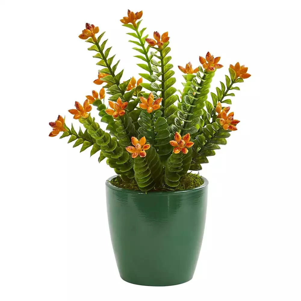 商品NEARLY NATURAL|Sedum Succulent Artificial Plant in Green Planter, Set of 2,价格¥741,第2张图片详细描述