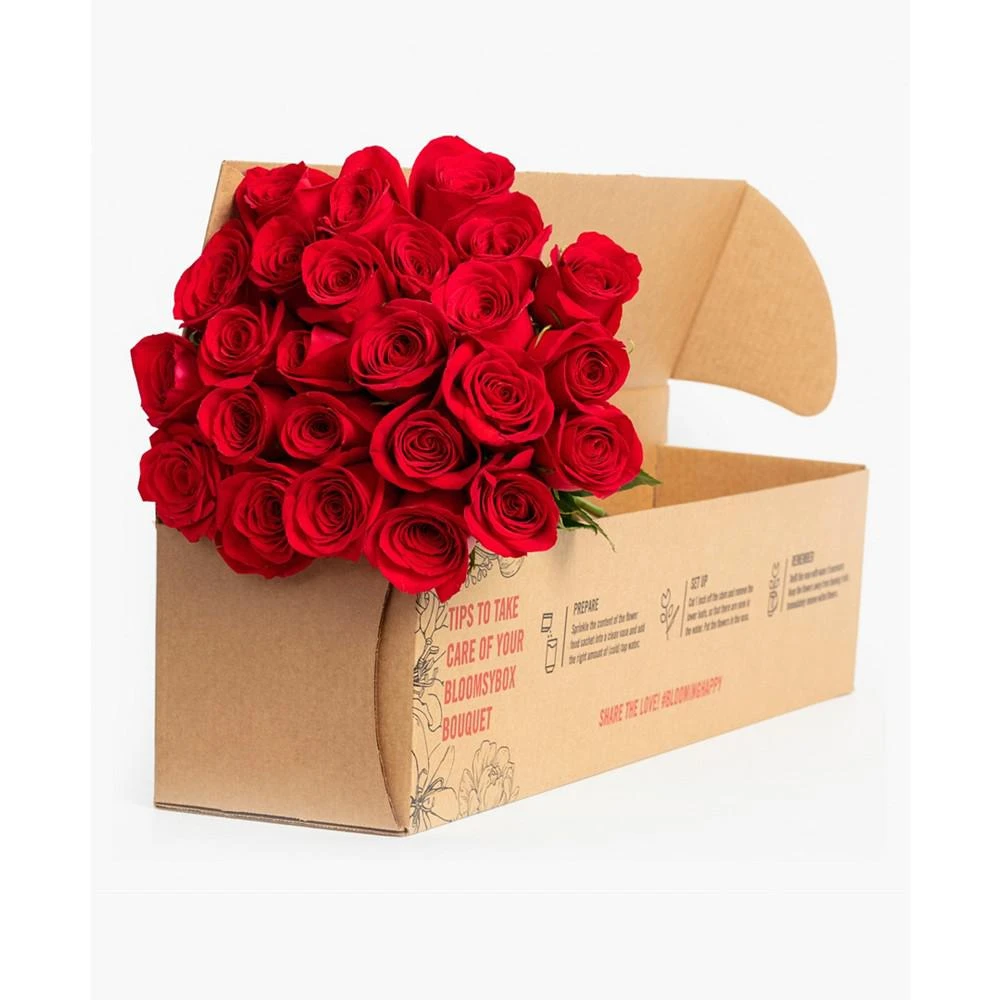 商品BloomsyBox|Splendid Red Roses Fresh Flower Bouquet,价格¥524,第2张图片详细描述