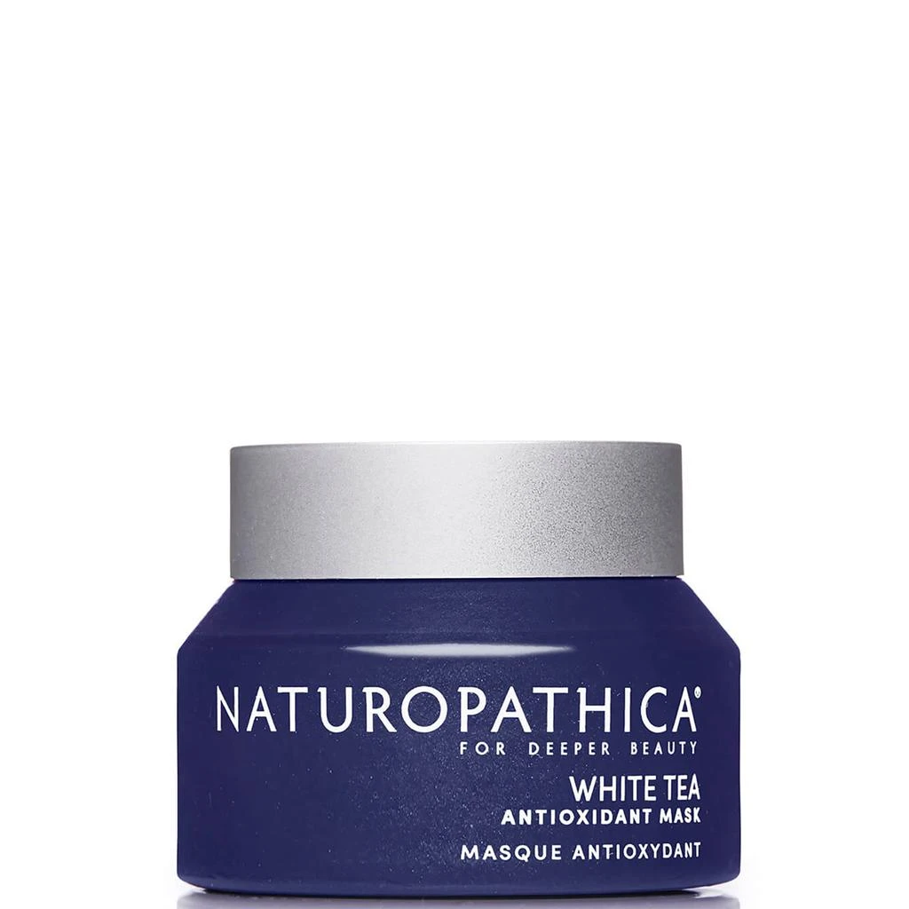 商品Naturopathica|Naturopathica White Tea Antioxidant Mask,价格¥571,第1张图片