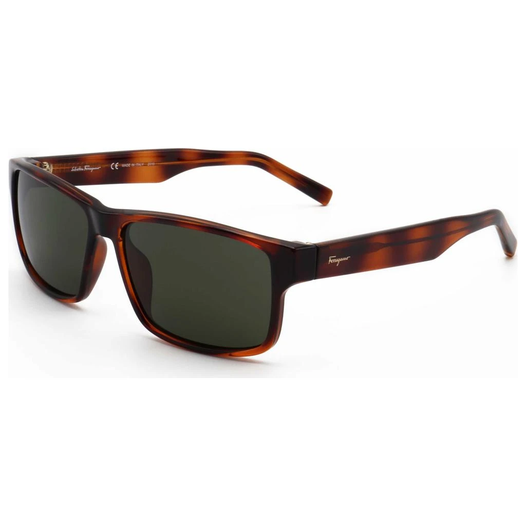 商品Salvatore Ferragamo|Ferragamo Men's Sunglasses SF960S-214,价格¥516,第1张图片