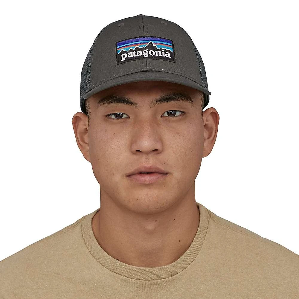 商品Patagonia|Patagonia P-6 Logo LoPro Trucker Hat,价格¥176,第4张图片详细描述