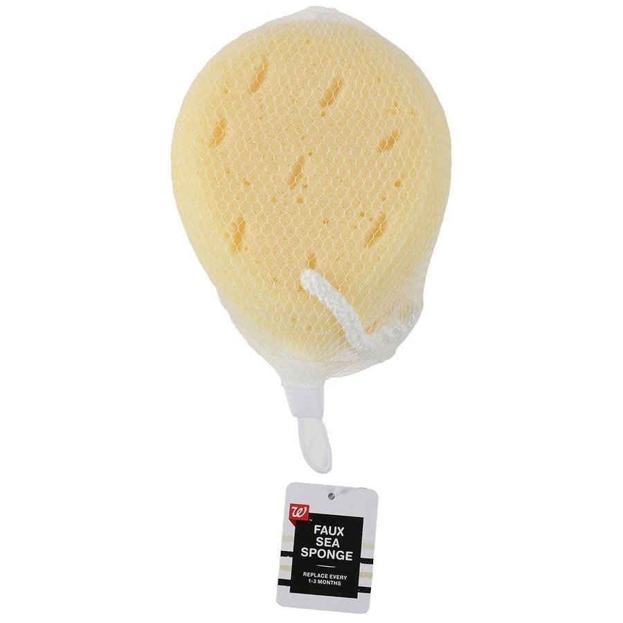 商品Studio 35|Faux Bath Sea Sponge,价格¥37,第1张图片