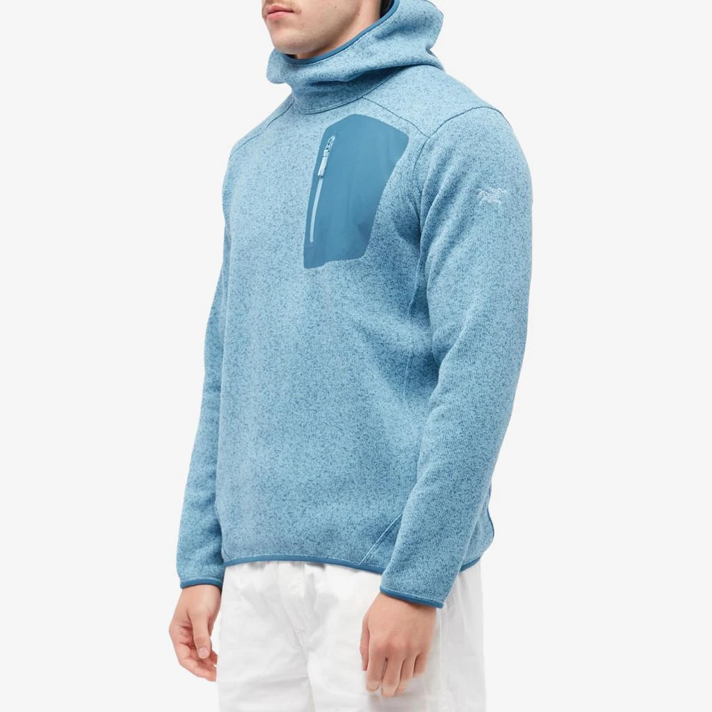 商品Arc'teryx|Arc'teryx Covert Pullover Hoodie,价格¥1587,第2张图片详细描述