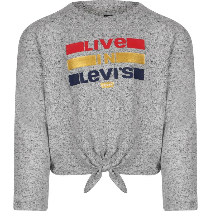 商品Levi's|Logo sweatshirt in grey,价格¥322,第1张图片