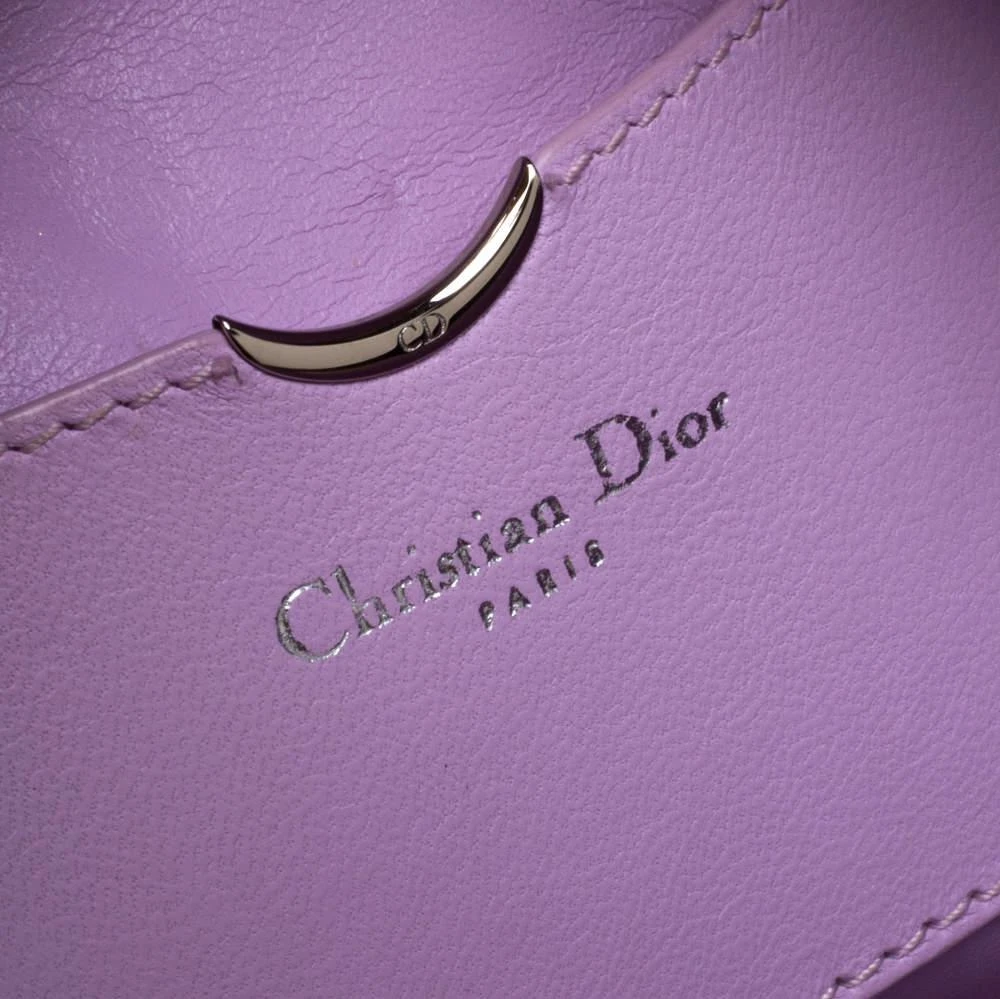 Dior Multicolor Leather Pocket Frame Clutch   商品