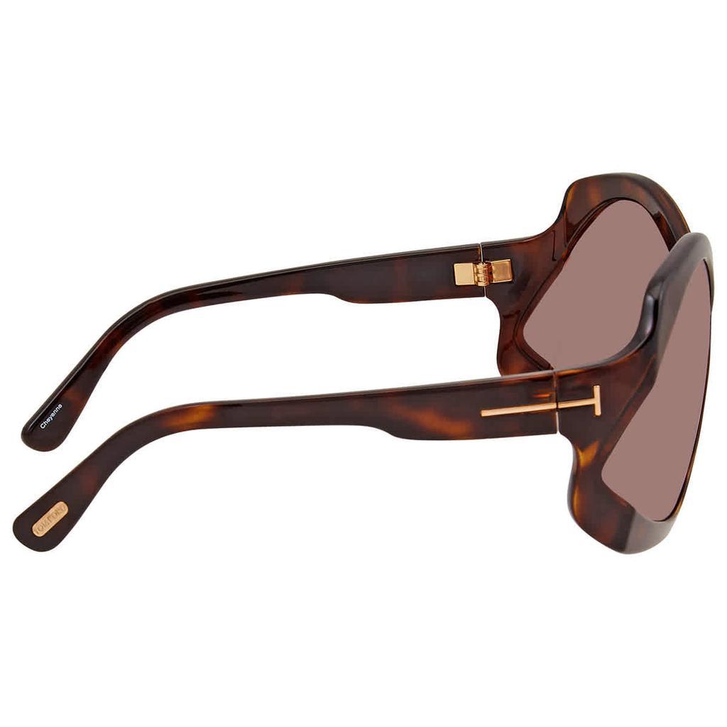 商品Tom Ford|Tom Ford Cheyenne Oversized Ladies Sunglasses FT0903 52E 68,价格¥968,第5张图片详细描述