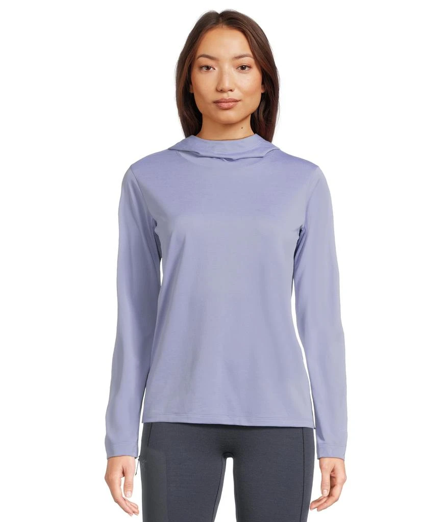 商品Arc'teryx|Taema Hoodie,价格¥728,第1张图片