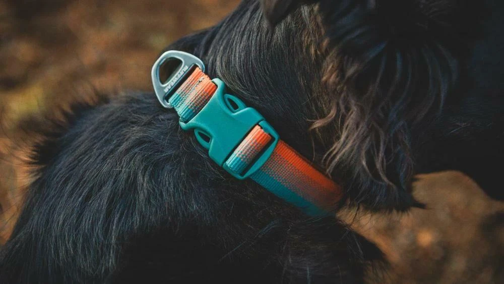 商品RUFFWEAR|Front Range Collar,价格¥113,第5张图片详细描述
