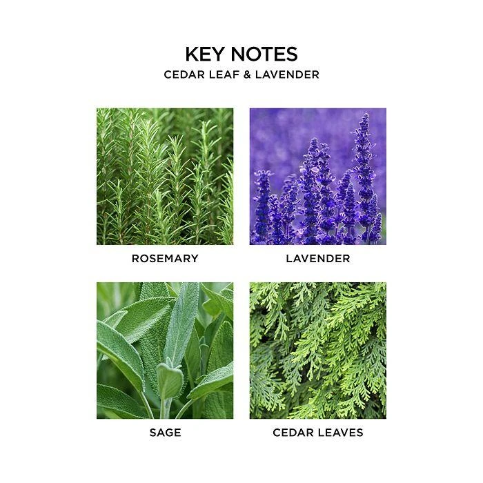 Cedar Leaf & Lavender Room & Linen Spray, 3.4 oz. 商品