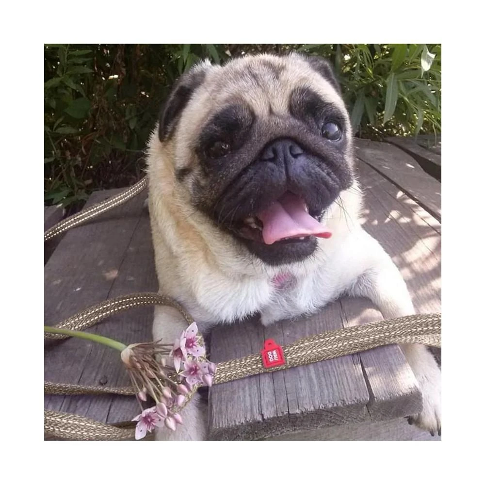 商品Waudog|Eco-Friendly Re-Cotton Leash For Dogs, reflective,价格¥171,第2张图片详细描述