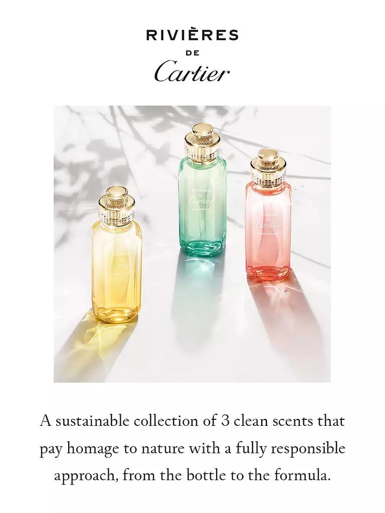 商品Cartier|Insouciance,价格¥879,第4张图片详细描述