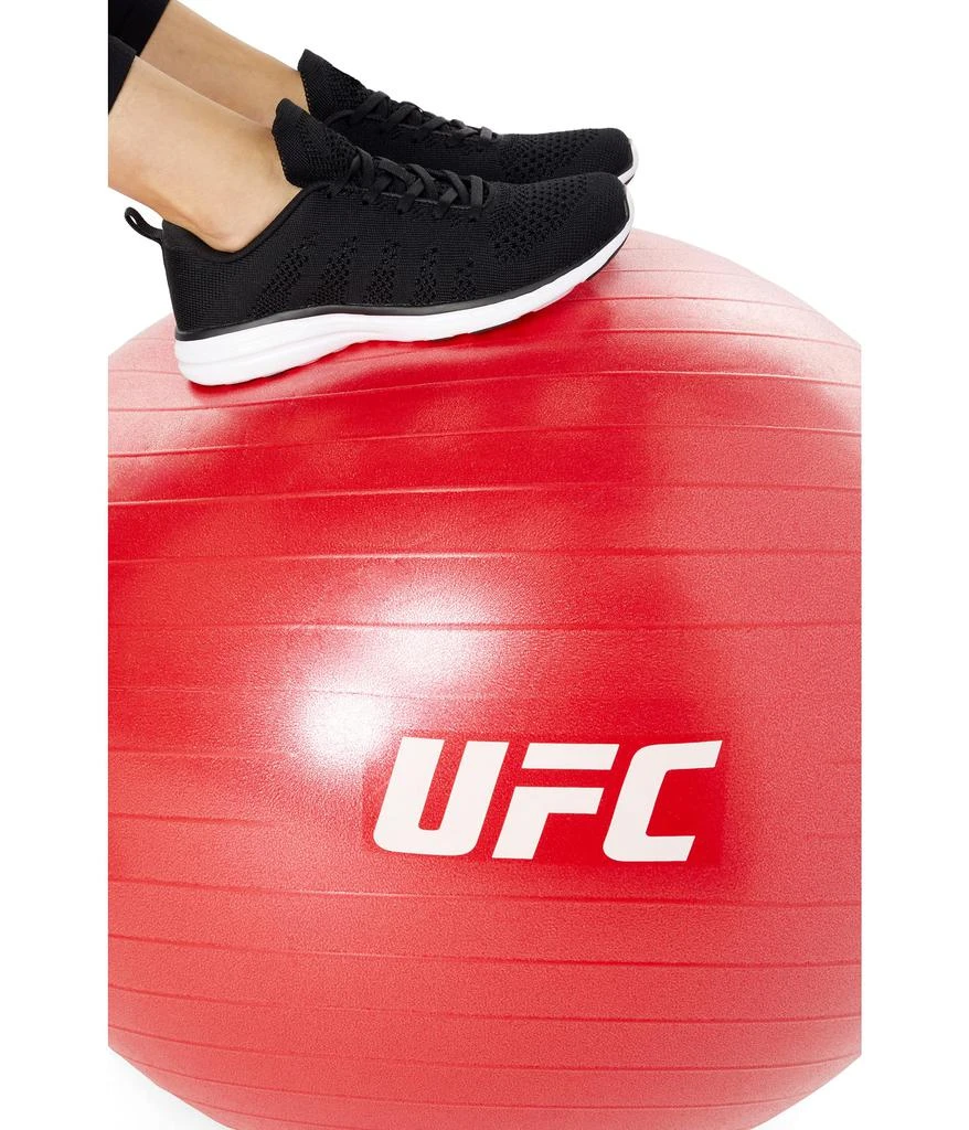 65 cm - UFC Fitball 商品