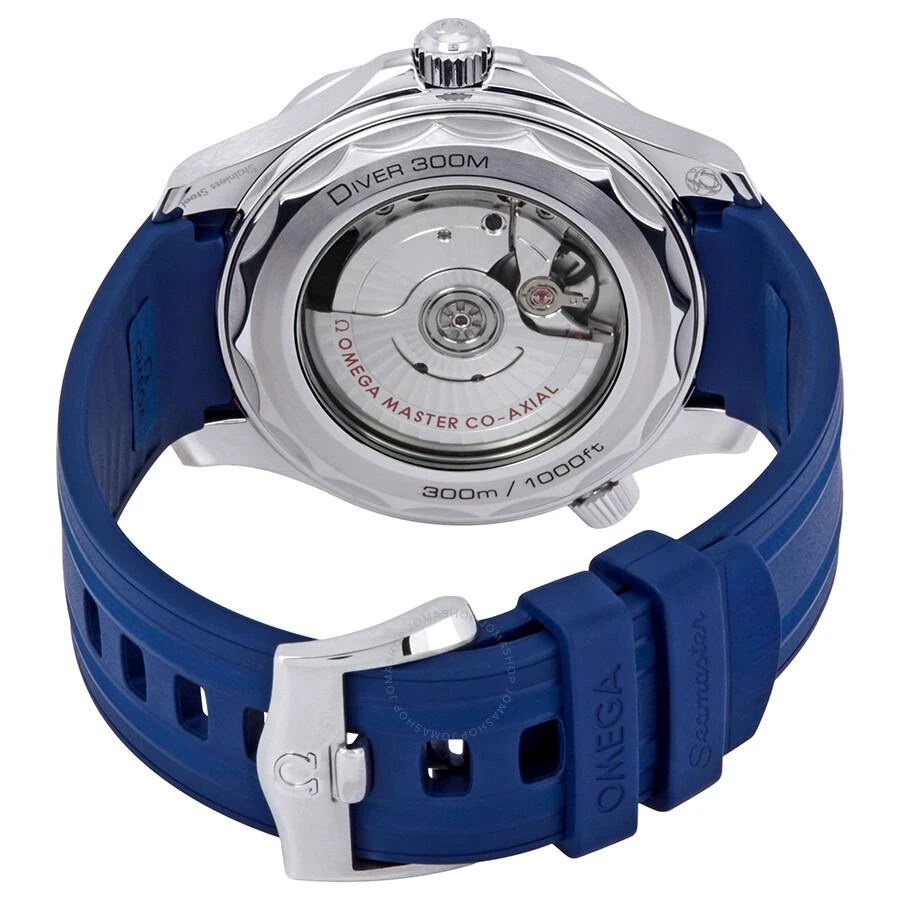 商品Omega|Seamaster Automatic Grey Dial Men's Watch 210.32.42.20.06.001,价格¥31374,第3张图片详细描述