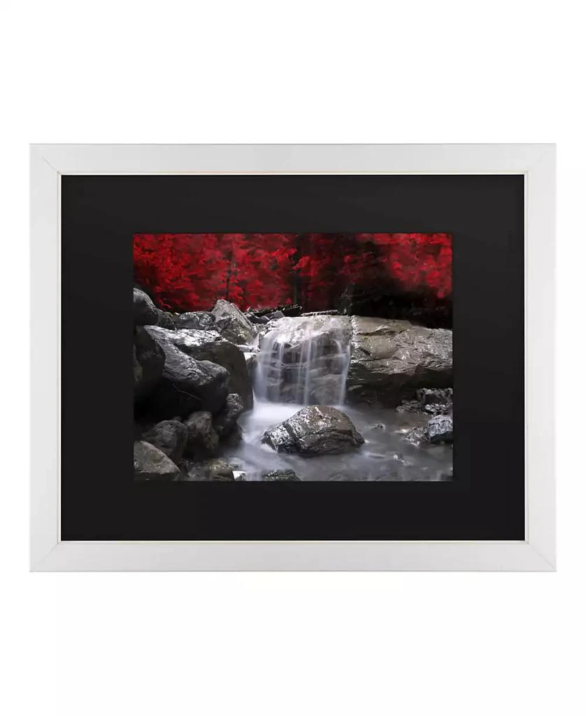 商品Trademark Global|Philippe Sainte-Laudy Red Vison Matted Framed Art - 20" x 25",价格¥456,第1张图片