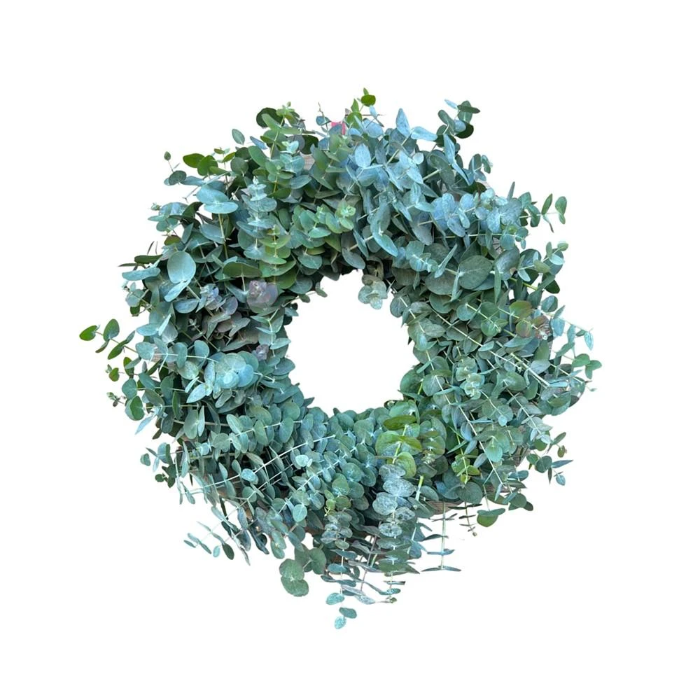 商品GreenishBlu|Fresh Real True Blue Eucalyptus Spring Wreath,价格¥733,第1张图片