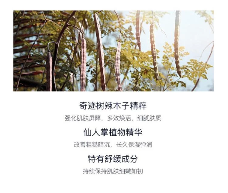 商品Estée Lauder|【欧洲直购】estee lauder 雅诗兰黛 新一代小棕瓶精华50ML+15ML便携装+小棕瓶眼霜5ML+多效智妍面霜15ML,价格¥1239,第19张图片详细描述