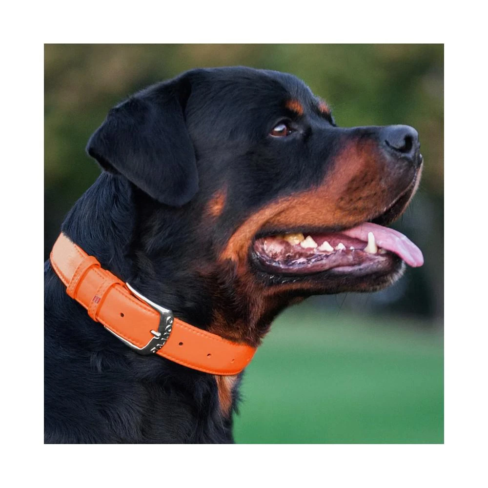 商品Waudog|Glamour genuine leather dog collar with QR passport,价格¥104,第2张图片详细描述