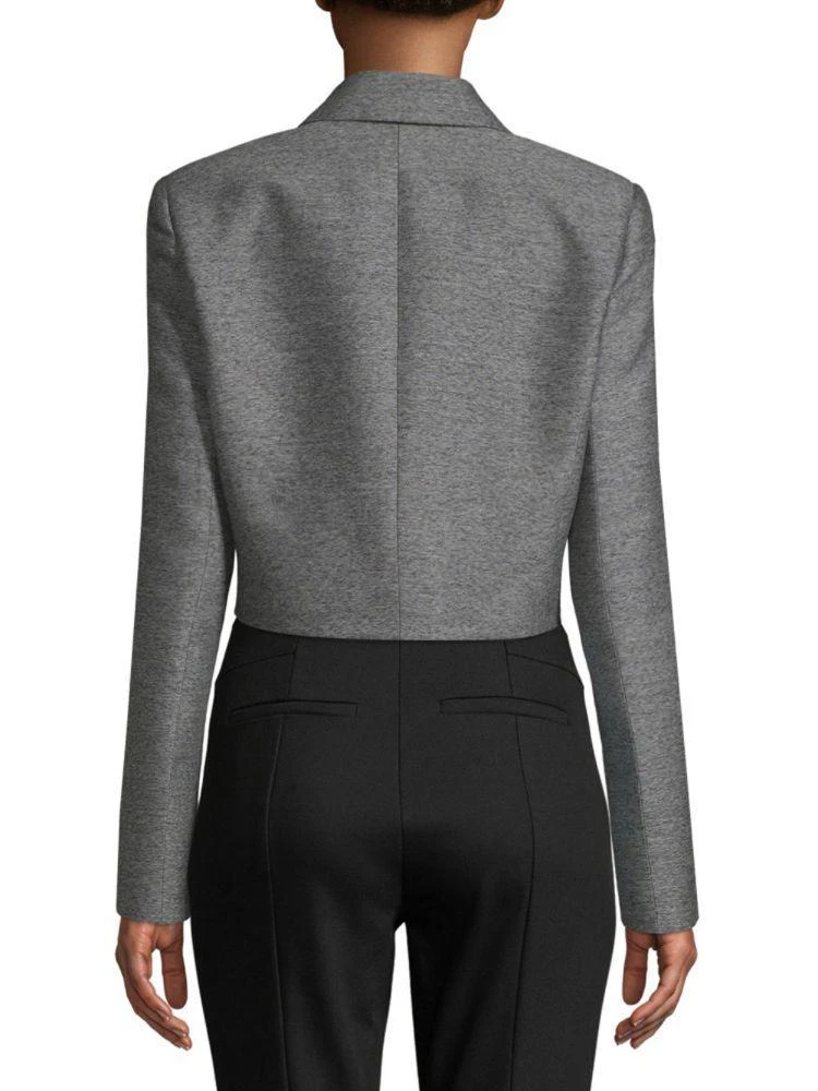 商品Lanvin|Lanvin Veste Heathered Blazer,价格¥11246,第2张图片详细描述