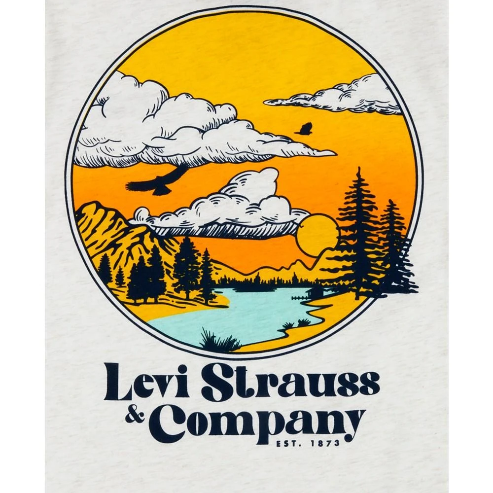 商品Levi's|Big Boys Neo Americana Graphic Crewneck T-shirt,价格¥90,第4张图片详细描述